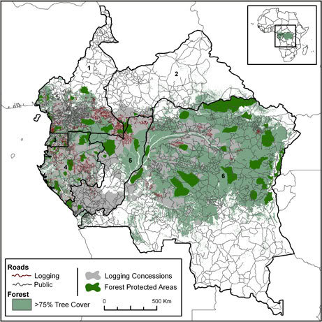 Deforestation case study pdf